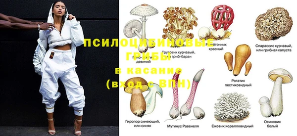 прущая мука Горно-Алтайск